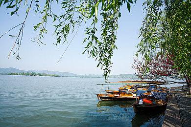 《侏罗纪公园：生存》开发者揭秘核心玩法 曝实机细节